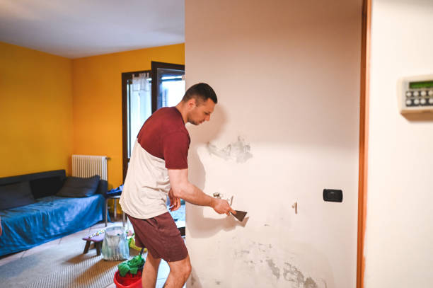 Best Bathroom Mold Remediation in Chester, NY